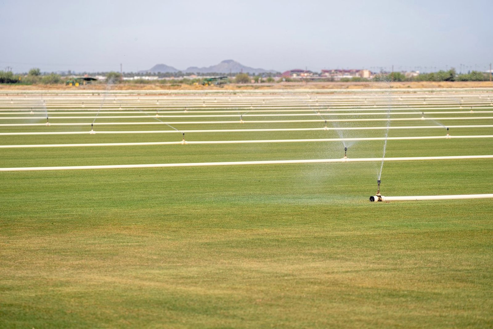 Sprinkler irrigation running across a flat green field with mountains in the distance.